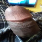 119539 - Black Cock Gallery