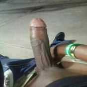 119568 - Black Cock Gallery