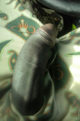 119900 - Black Cock Gallery