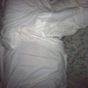 120114 - Black Cock Gallery