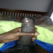 120238 - Black Cock Gallery