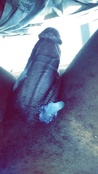 120482 - Black Cock Gallery
