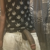 120559 - Black Cock Gallery