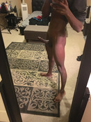 120747 - Black Cock Gallery