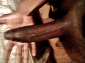 120873 - Black Cock Gallery