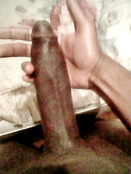 120874 - Black Cock Gallery