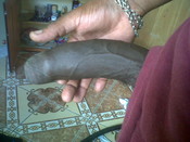 120903 - Black Cock Gallery