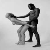 12108 - Black Cock Gallery