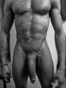 121613 - Black Cock Gallery