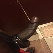 121866 - Black Cock Gallery