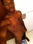 122050 - Black Cock Gallery