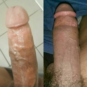 122544 - Black Cock Gallery