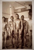 123263 - Black Cock Gallery