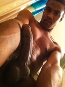 123407 - Black Cock Gallery