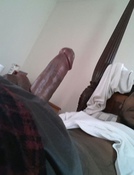 123417 - Black Cock Gallery
