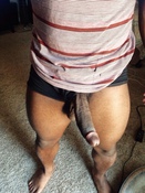 123512 - Black Cock Gallery