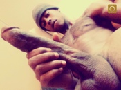 123531 - Black Cock Gallery