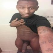 123727 - Black Cock Gallery