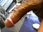 124497 - Black Cock Gallery