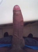 124733 - Black Cock Gallery