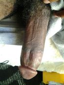 124903 - Black Cock Gallery