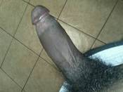 125278 - Black Cock Gallery