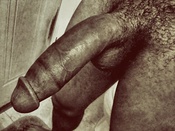 126348 - Black Cock Gallery