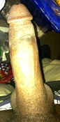 126495 - Black Cock Gallery
