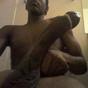 126669 - Black Cock Gallery