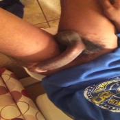 126901 - Black Cock Gallery