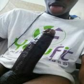 127156 - Black Cock Gallery