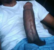 128068 - Black Cock Gallery