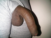 128177 - Black Cock Gallery