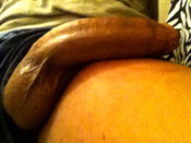 128311 - Black Cock Gallery