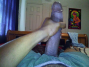 128879 - Black Cock Gallery