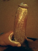 129500 - Black Cock Gallery