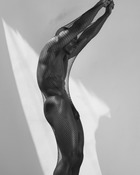 130069 - Black Cock Gallery