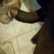 130503 - Black Cock Gallery