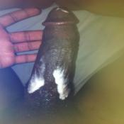 130879 - Black Cock Gallery