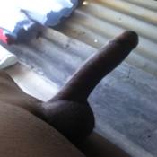 131259 - Black Cock Gallery