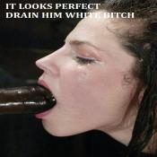 131583 - Black Cock Gallery