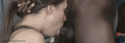 132582 - Black Cock Gallery