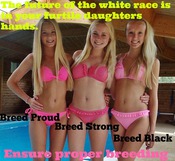 132933 - Black Cock Gallery