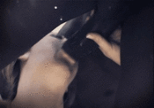 133754 - Black Cock Gallery