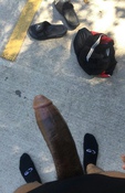 136614 - Black Cock Gallery