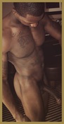 136719 - Black Cock Gallery
