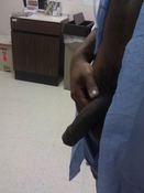 137801 - Black Cock Gallery