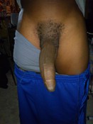 138053 - Black Cock Gallery