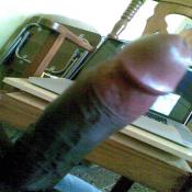 138322 - Black Cock Gallery