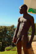 138367 - Black Cock Gallery